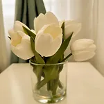 Vibe S32 Apartman,ac,free Parking * Székesfehérvár