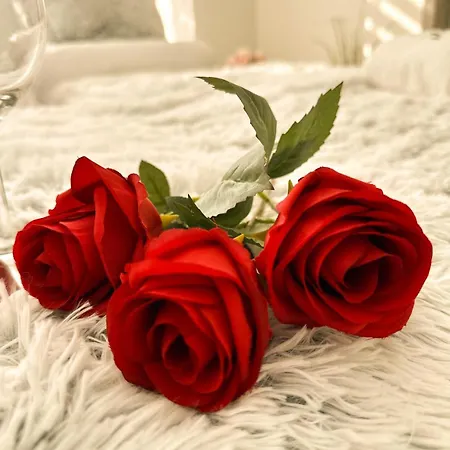 Apartmán Vibe S32 Apartman,ac,free Parking *