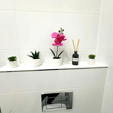Vibe S32 Apartman,ac,free Parking