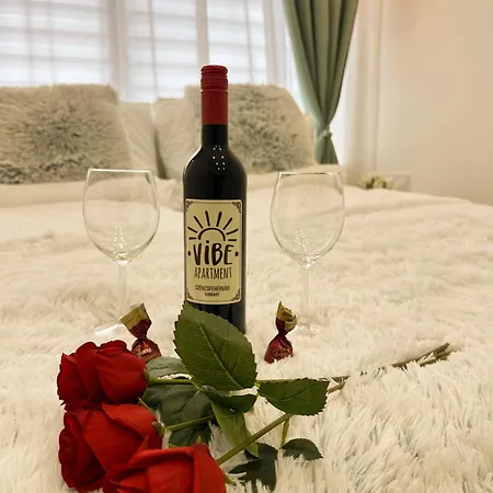 Vibe S32 Apartman,ac,free Parking * Székesfehérvár