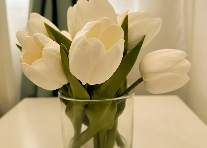 Vibe S32 Apartman,ac,free Parking * Székesfehérvár